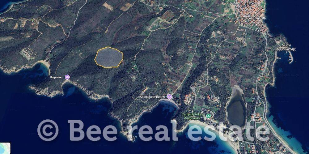 Άποψη εξωτερικού χώρου