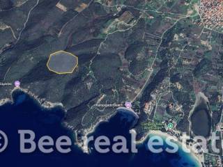 Άποψη εξωτερικού χώρου