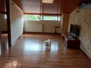 Forumland Real Estate, Σοφίτα