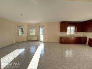 Forumland Real Estate, Σαλοκουζίνα