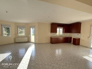 Forumland Real Estate, Σαλοκουζίνα