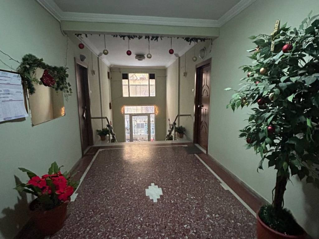 ΕΙΣΟΔΟΣ ΟΙΚΟΔΟΜΗΣ