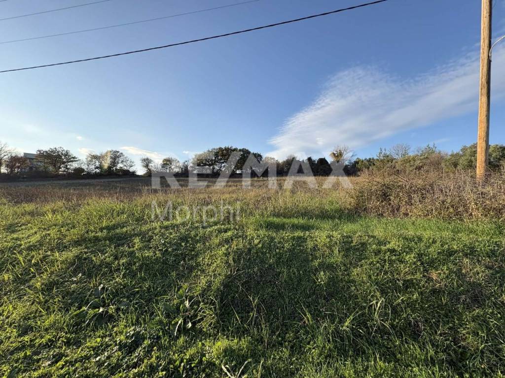 Εξωτερικοι χώροι