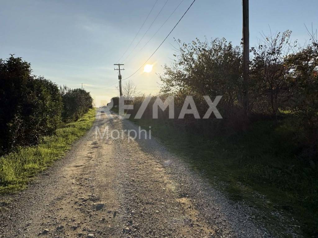 Εξωτερικοι χώροι