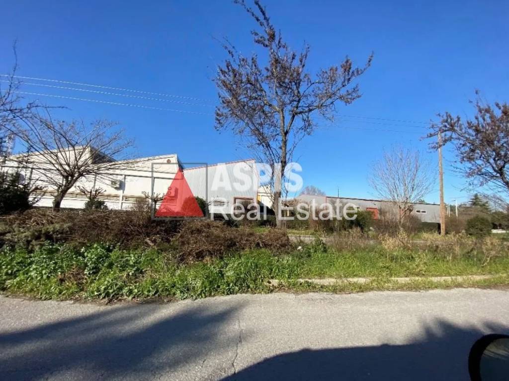 Εξωτερικοι χώροι