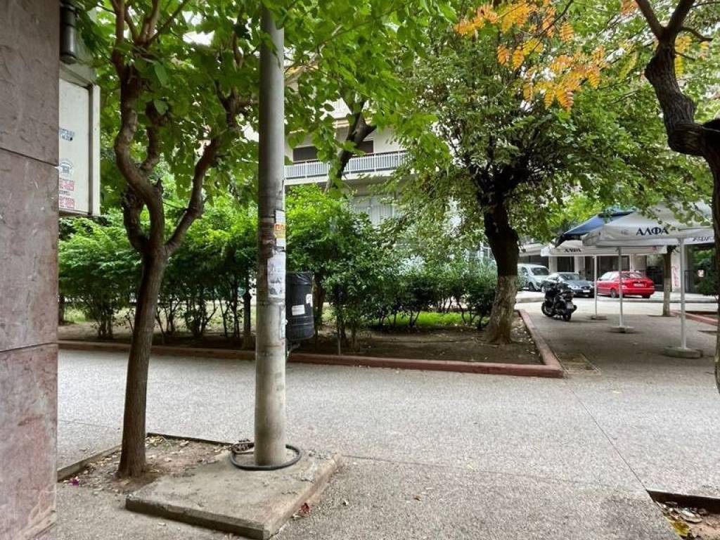 Apartment - Grekodom 61703|1032923