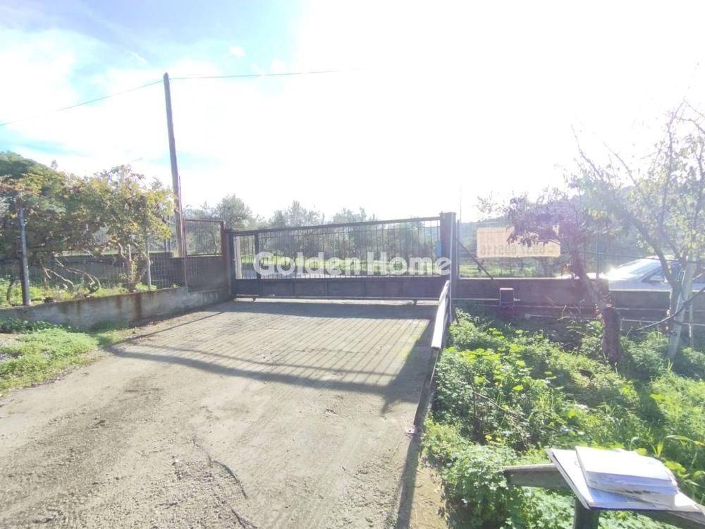 Εξωτερικός Χώρος