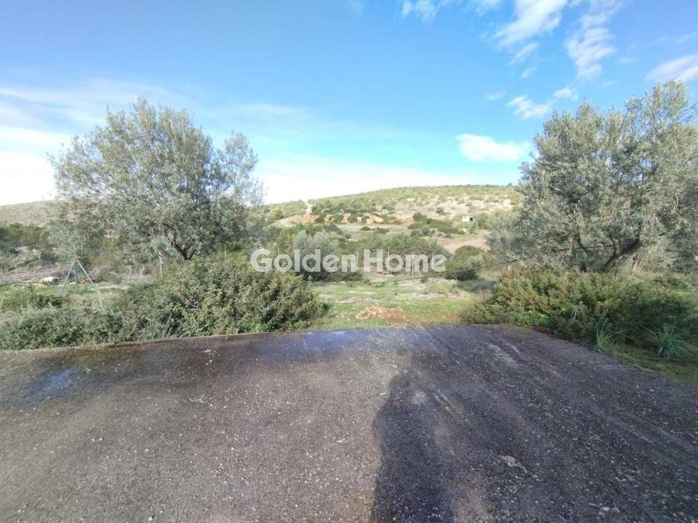 Εξωτερικός Χώρος