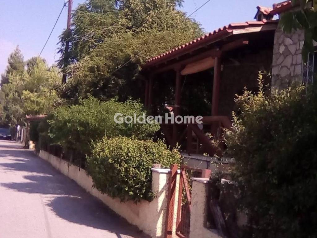 Κυρίως Χώρος