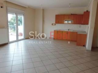 Σαλοκουζίνα