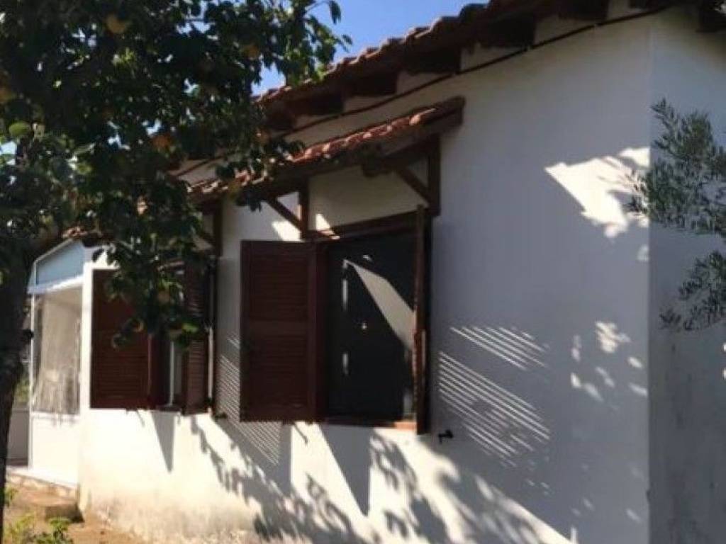 Detached - Grekodom 42010|618092