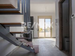 Σαλοκουζίνα