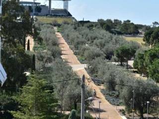 Apartment - Grekodom 64960|1033023