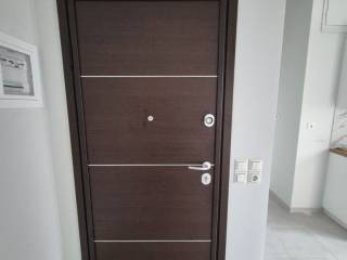 ΠΟΡΤΑ ΕΙΣΟΔΟΥ