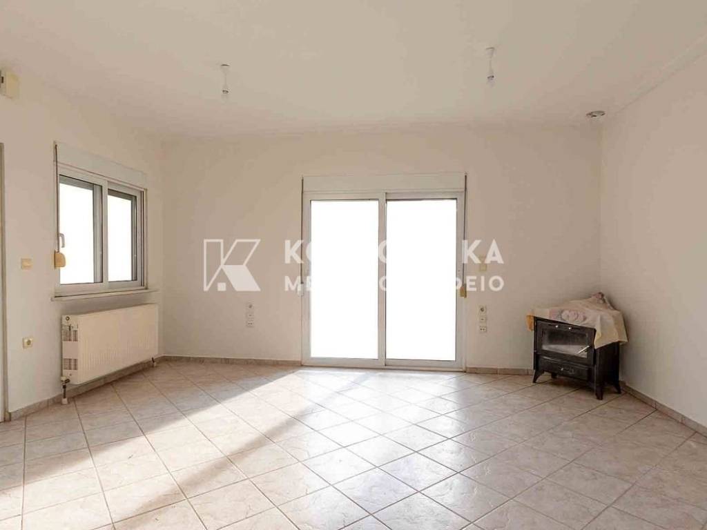 Σαλοκουζίνα