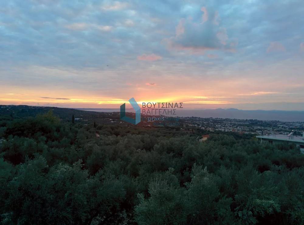 Θέα απο μπαλκόνι