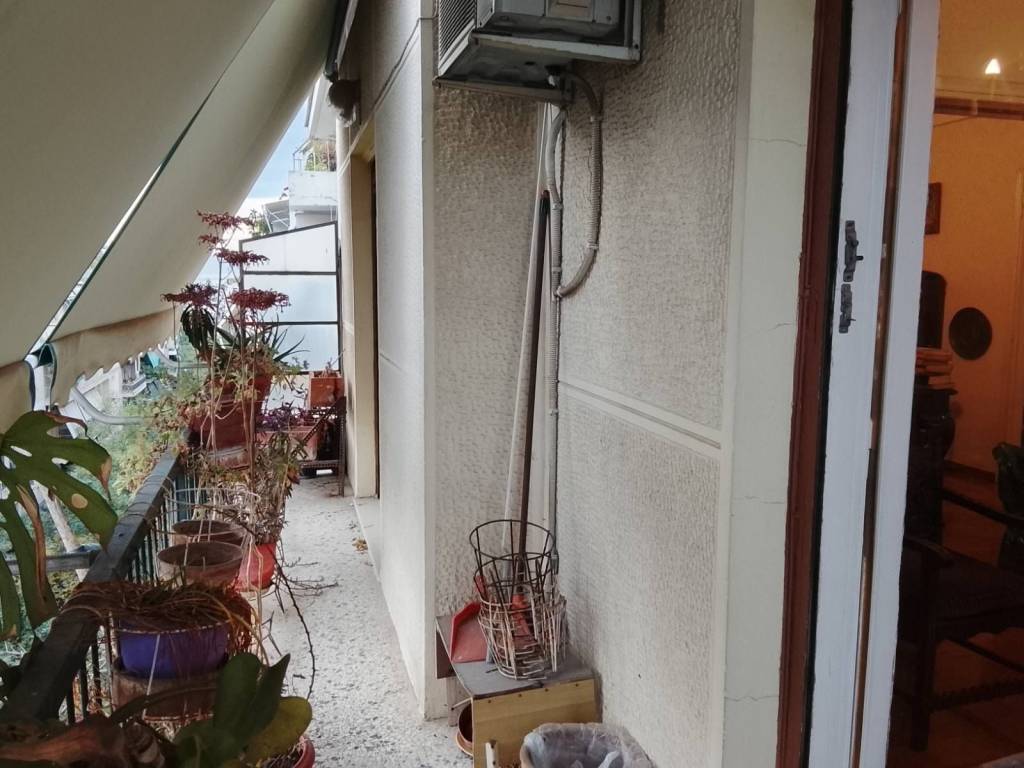 diamperes diamerisma