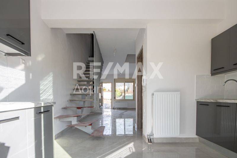 Σαλοκουζίνα