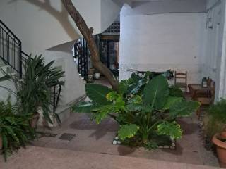 idiotikos kepos 25 t.m. toy diamerismatos