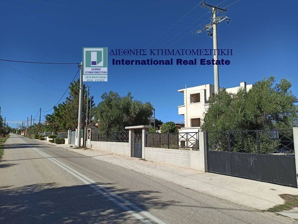 PROSOPSE 23 m. EPI TES EPARCHIAKES ODOY MEGARON-PERACHORAS