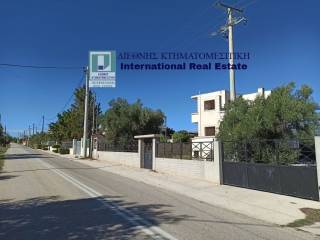 PROSOPSE 23 m. EPI TES EPARCHIAKES ODOY MEGARON-PERACHORAS