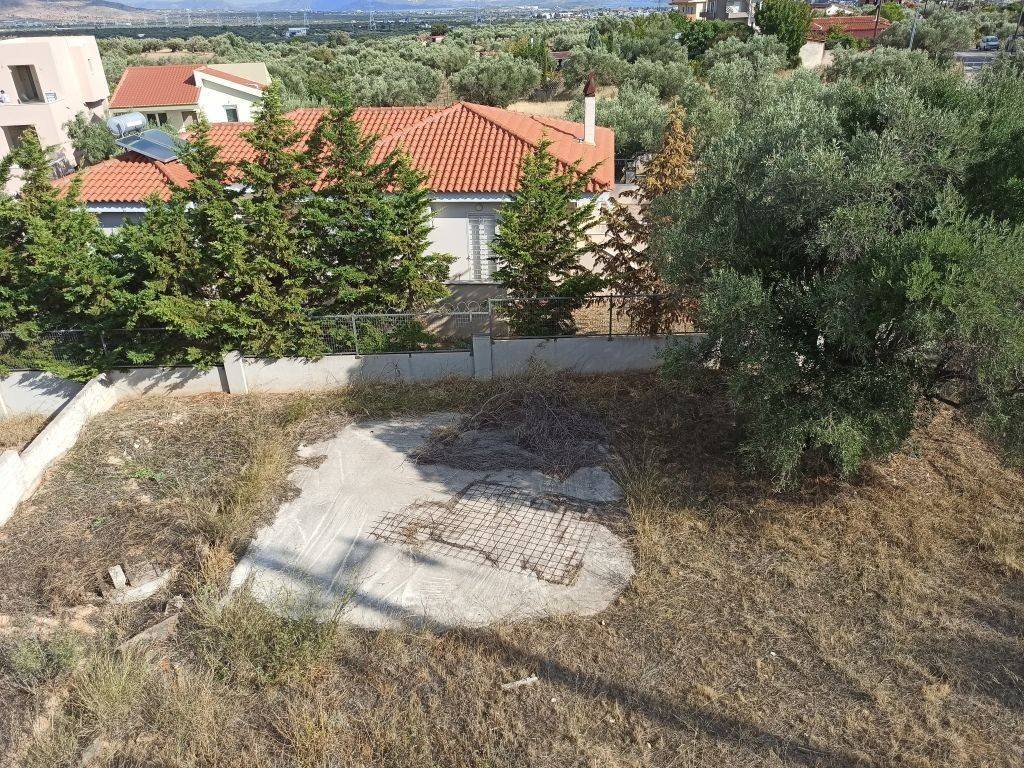 TMEMA TOY PERIBALLONTOS CHOROY