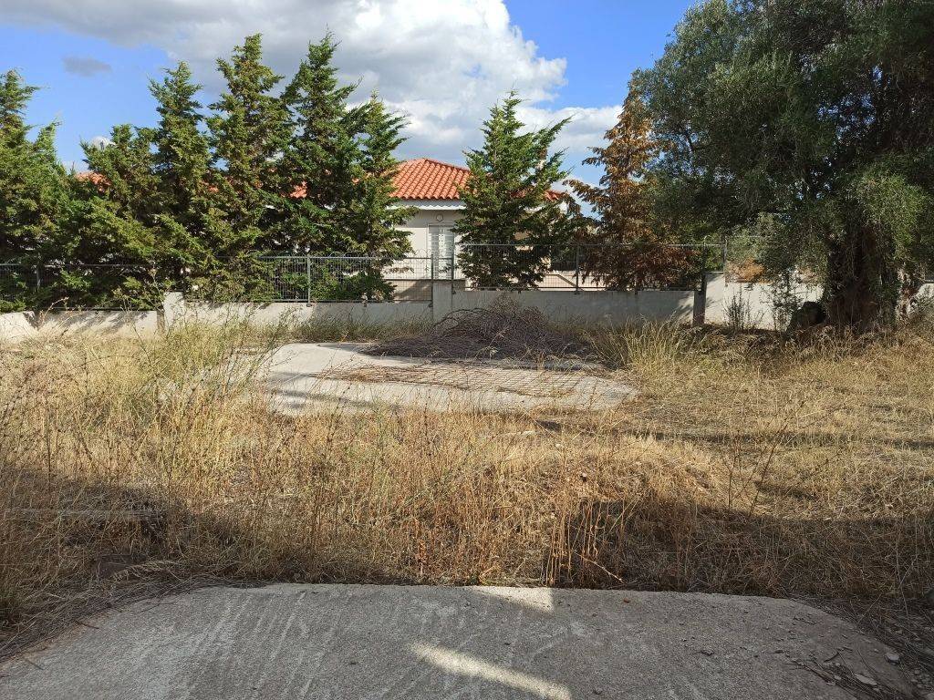 TMEMA TOY PERIBALLONTOS CHOROY