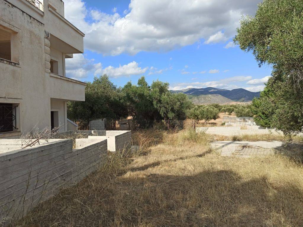 TMEMA TOY PERIBALLONTOS CHOROY