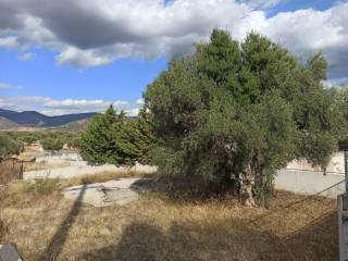 TMEMA TOY PERIBALLONTOS CHOROY