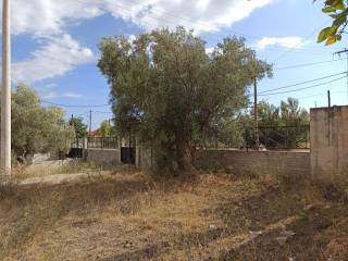 TMEMA TOY PERIBALLONTOS CHOROY