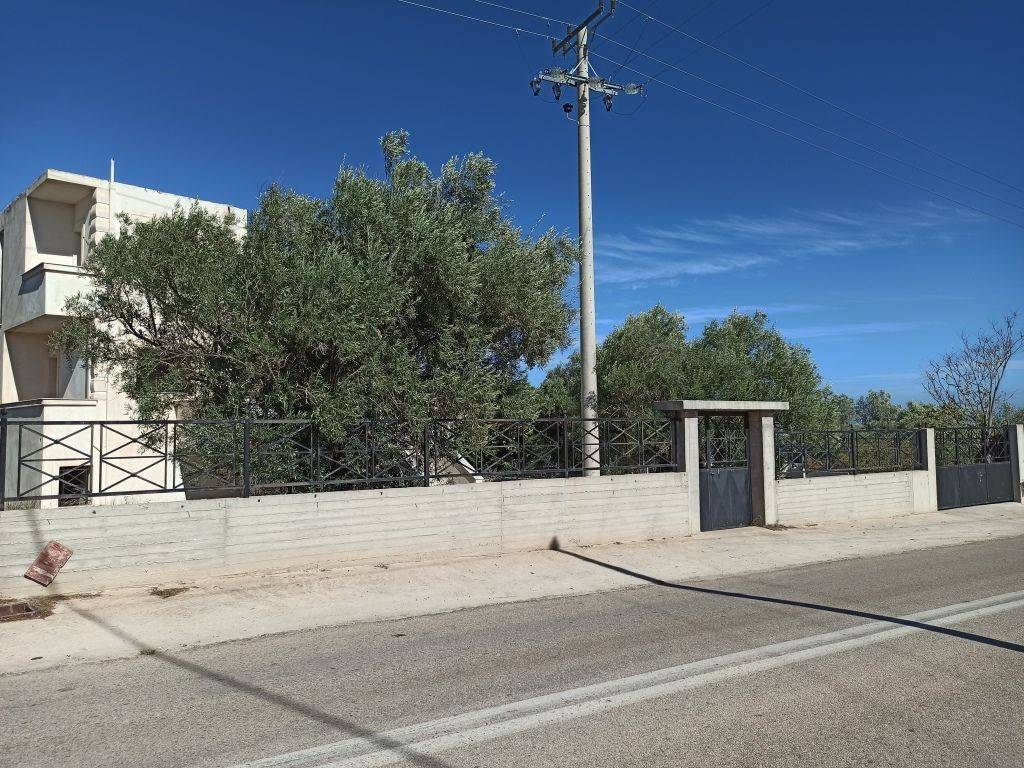 PROSOPSE 23 m. EPI TES EPARCHIAKES ODOY MEGARON-PERACHORAS