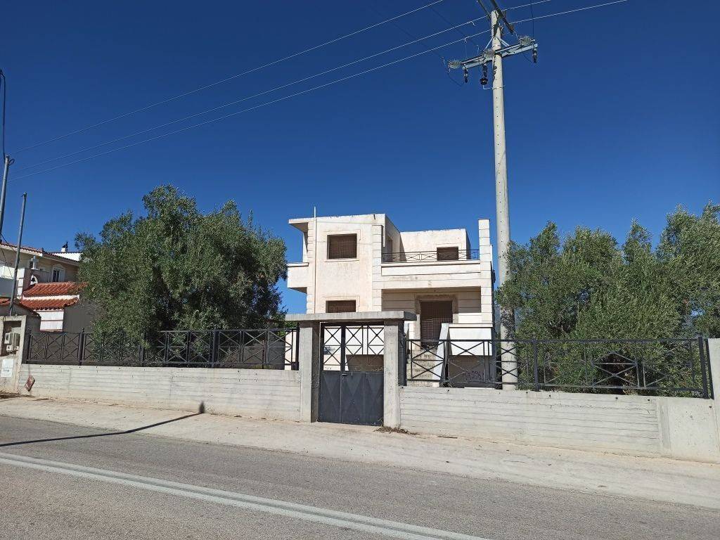 PROSOPSE 23 m. EPI TES EPARCHIAKES ODOY MEGARON-PERACHORAS