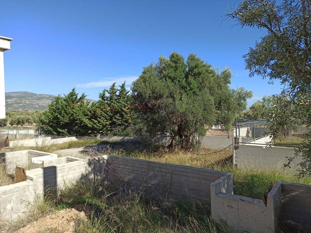 TMEMA TOY PERIBALLONTOS CHOROY