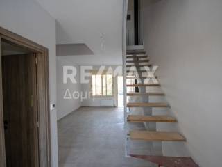 Σαλοκουζίνα