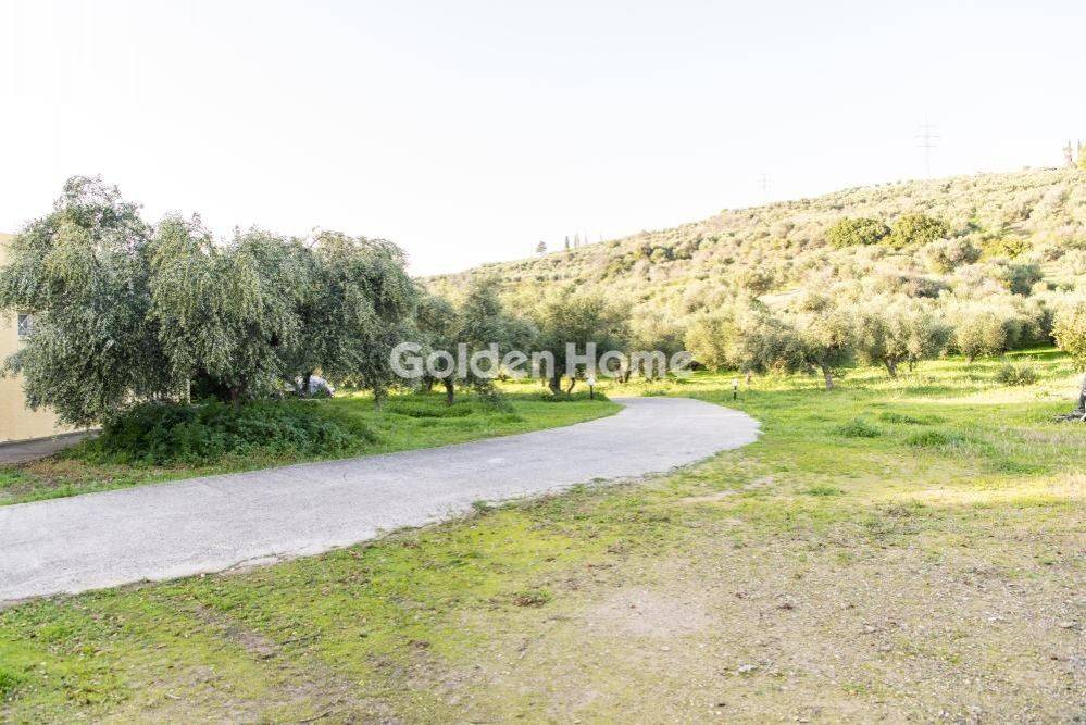 Εξωτερικός Χώρος