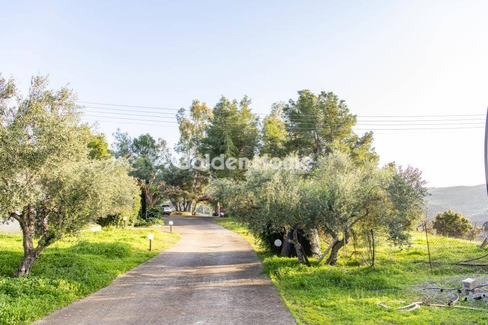 Εξωτερικός Χώρος