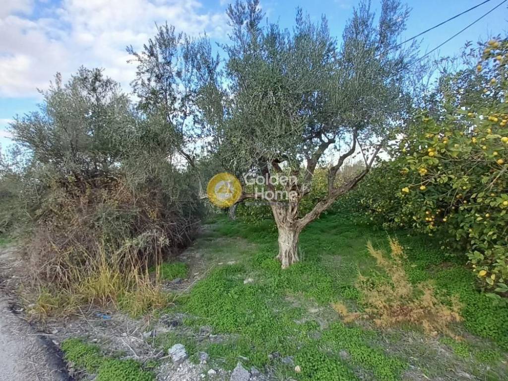 Εξωτερικός Χώρος