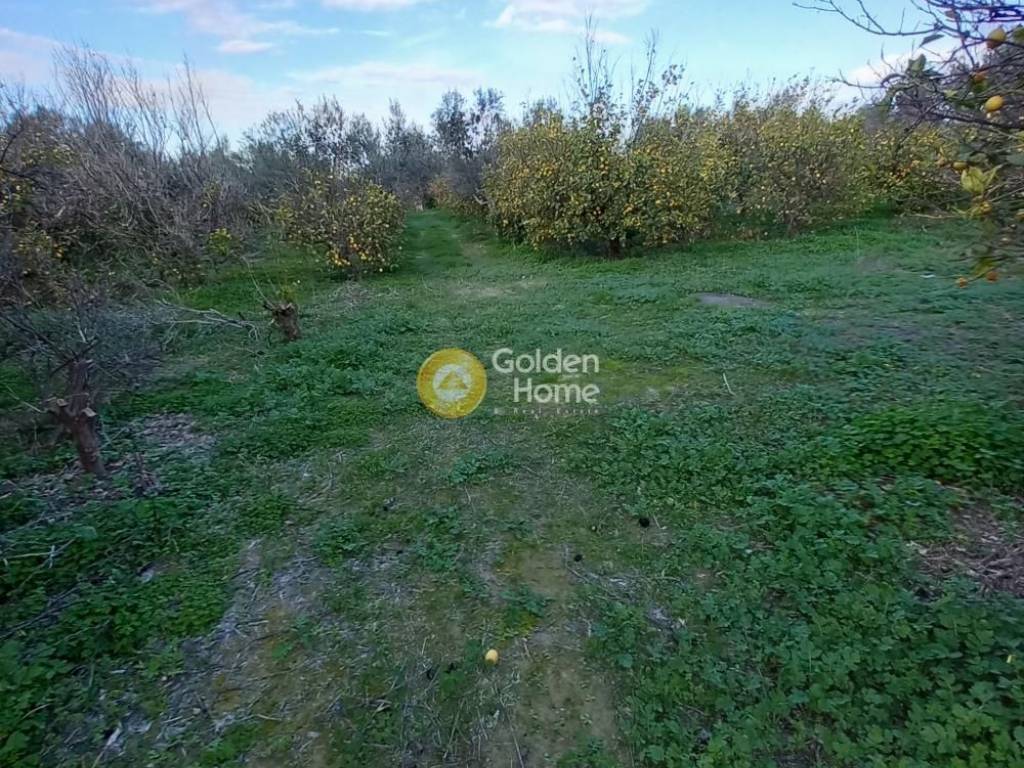 Εξωτερικός Χώρος