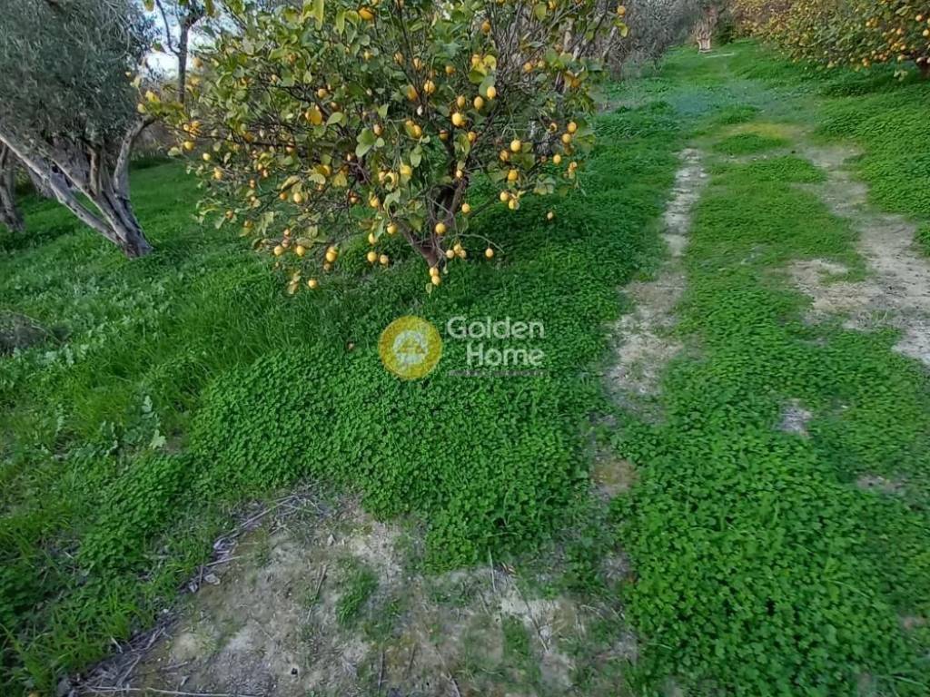 Εξωτερικός Χώρος