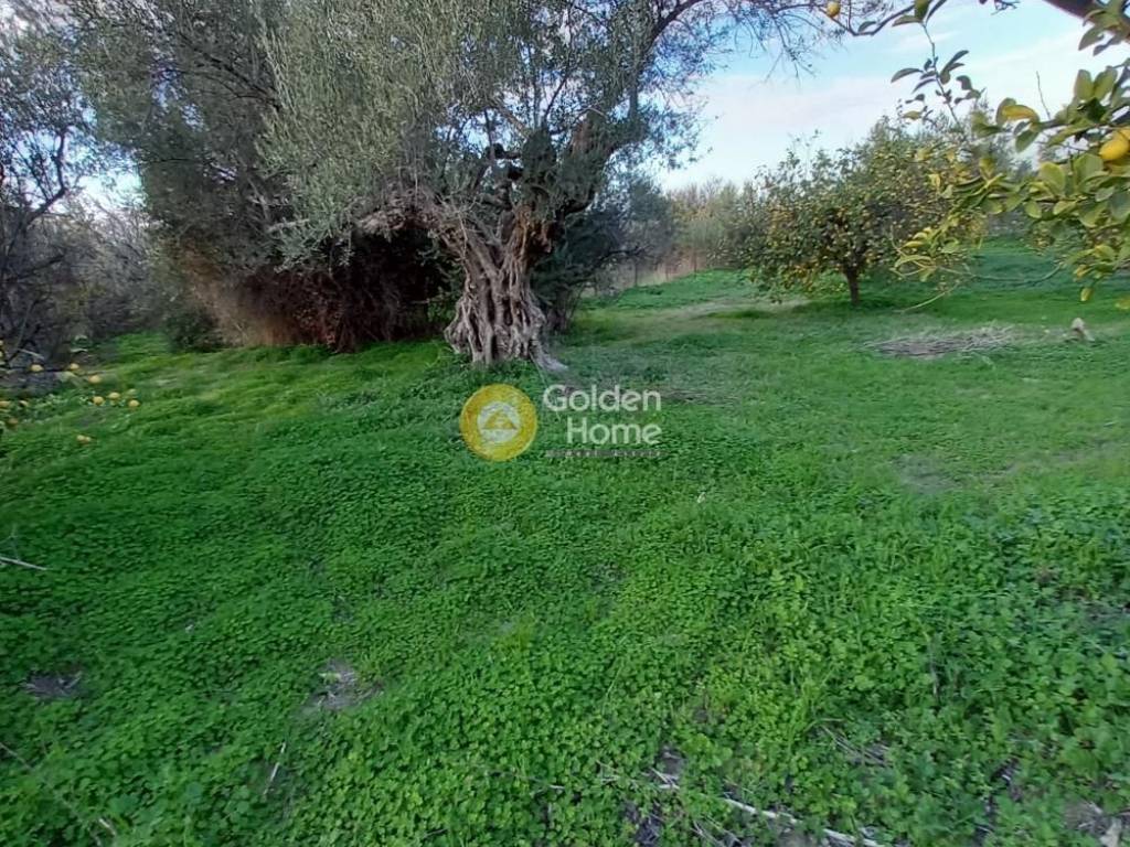 Εξωτερικός Χώρος