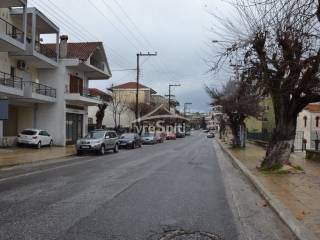 ΔΡΟΜΟΣ ΜΕΓΑΛΟΥ ΑΛΕΞΑΝΔΡΟΥ