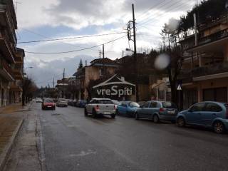 ΔΡΟΜΟΣ ΜΕΓΑΛΟΥ ΑΛΕΞΑΝΔΡΟΥ