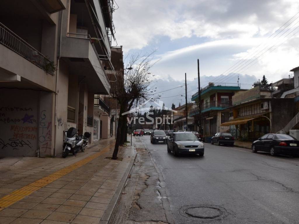 ΔΡΟΜΟΣ ΜΕΓΑΛΟΥ ΑΛΕΞΑΝΔΡΟΥ