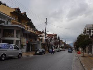 ΔΡΟΜΟΣ ΜΕΓΑΛΟΥ ΑΛΕΞΑΝΔΡΟΥ