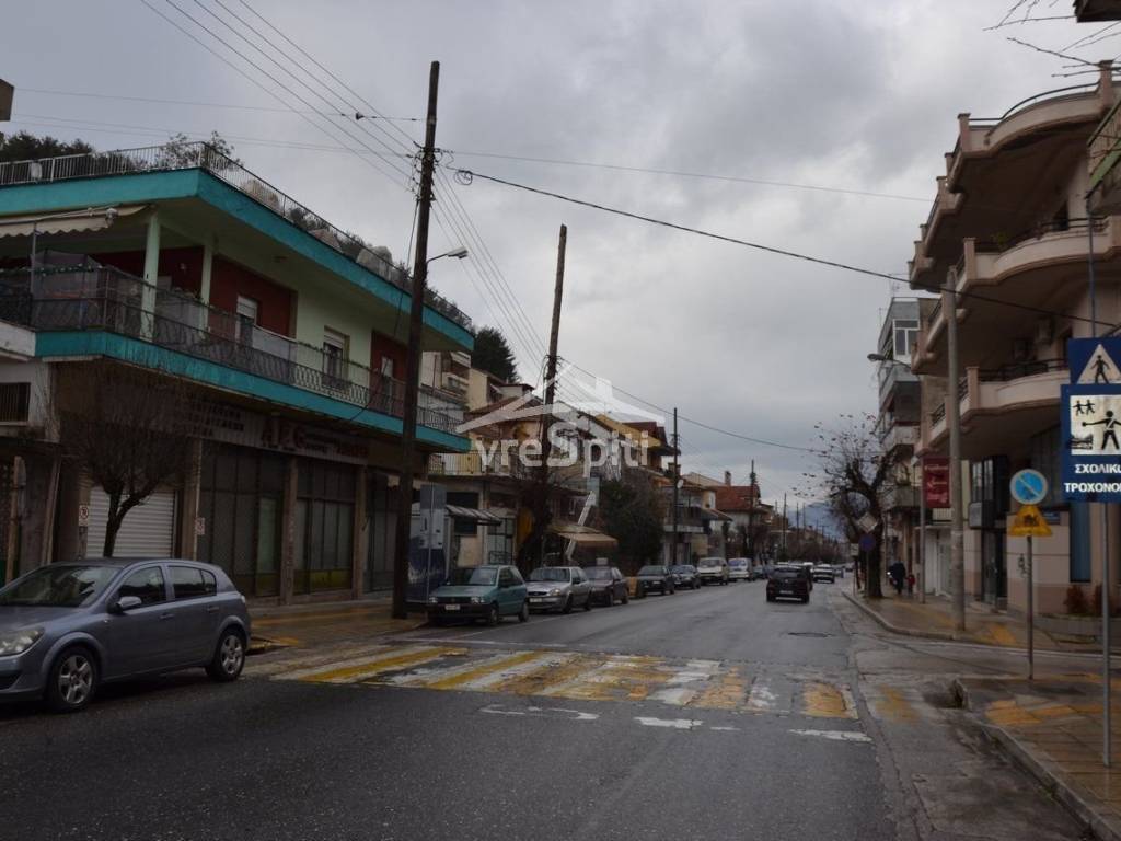 ΔΡΟΜΟΣ ΜΕΓΑΛΟΥ ΑΛΕΞΑΝΔΡΟΥ