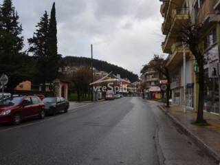 ΔΡΟΜΟΣ ΜΕΓΑΛΟΥ ΑΛΕΞΑΝΔΡΟΥ