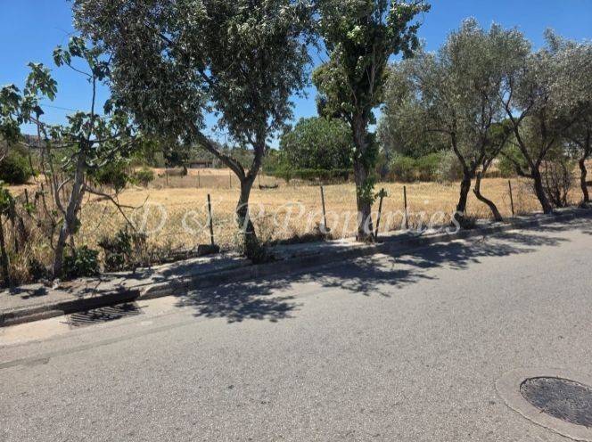 Οικόπεδο Γενικής Κατοικίας