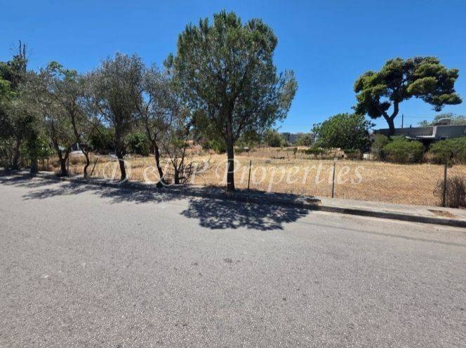 Οικόπεδο Γενικής Κατοικίας