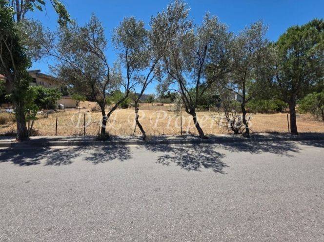 Οικόπεδο Γενικής Κατοικίας