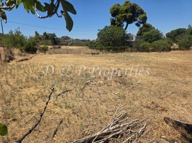 Οικόπεδο Γενικής Κατοικίας